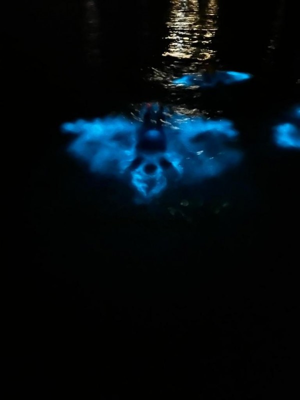 BIOLUMINESCENCE BOAT TOURS